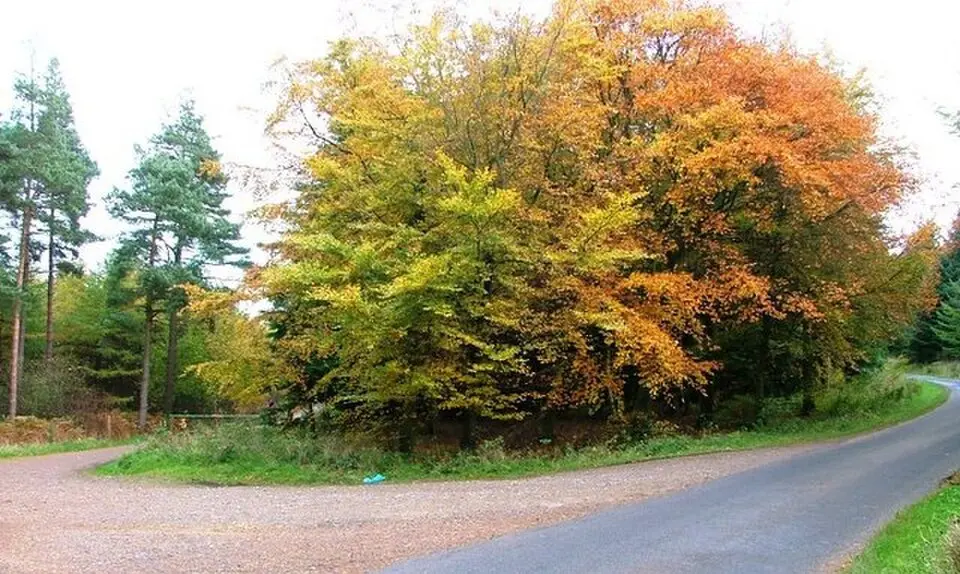 South Bedburn