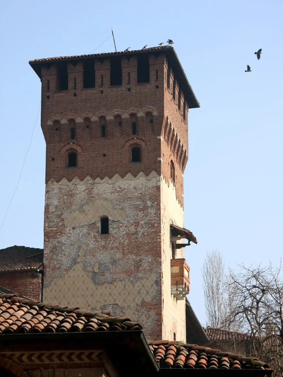 Image: Alessandro Vecchi · CC BY-SA 3.0 Robbio