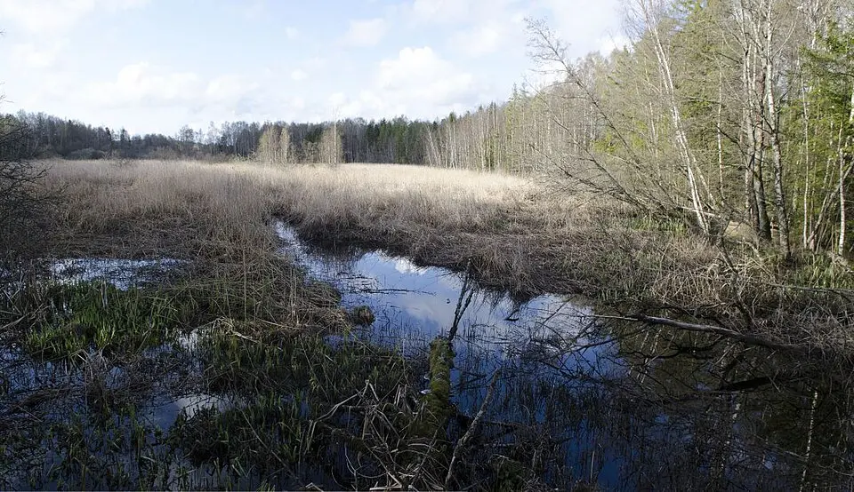 Robergvannet naturreservat