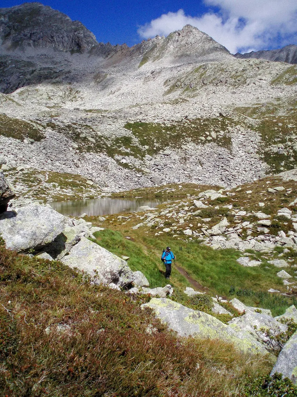 Rosskopf