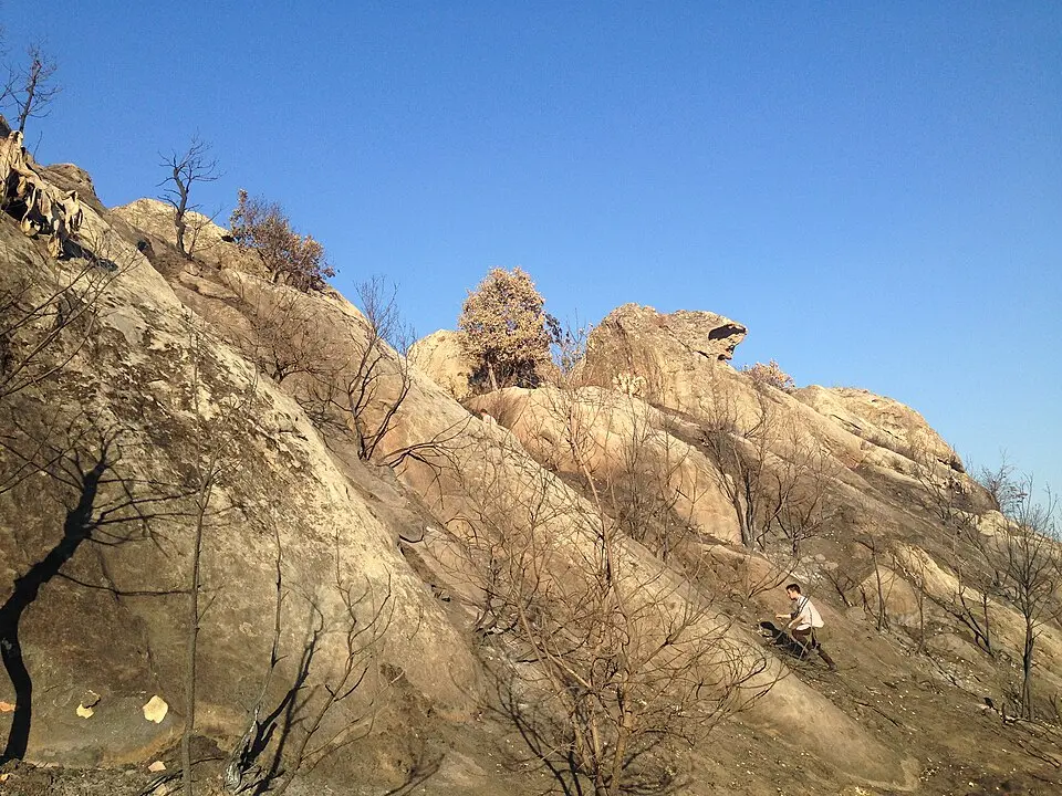 Rocca Pizzicata