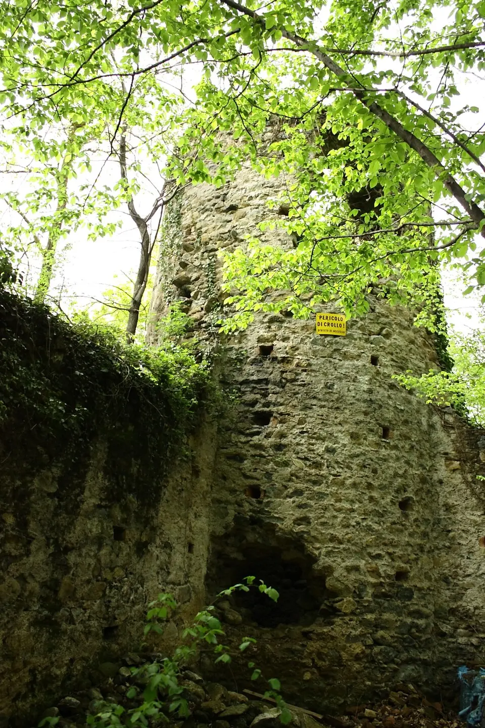 Rocca Provana