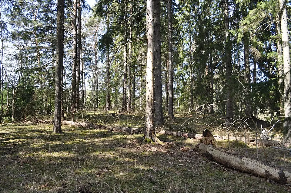 Rockelstaåsen
