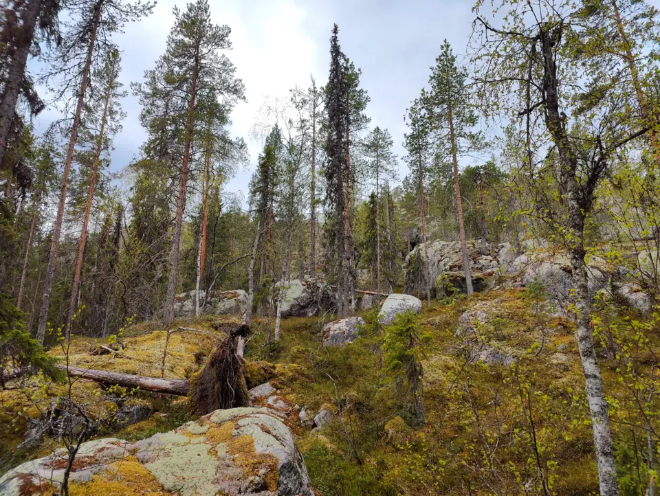 Sör-Degerberget