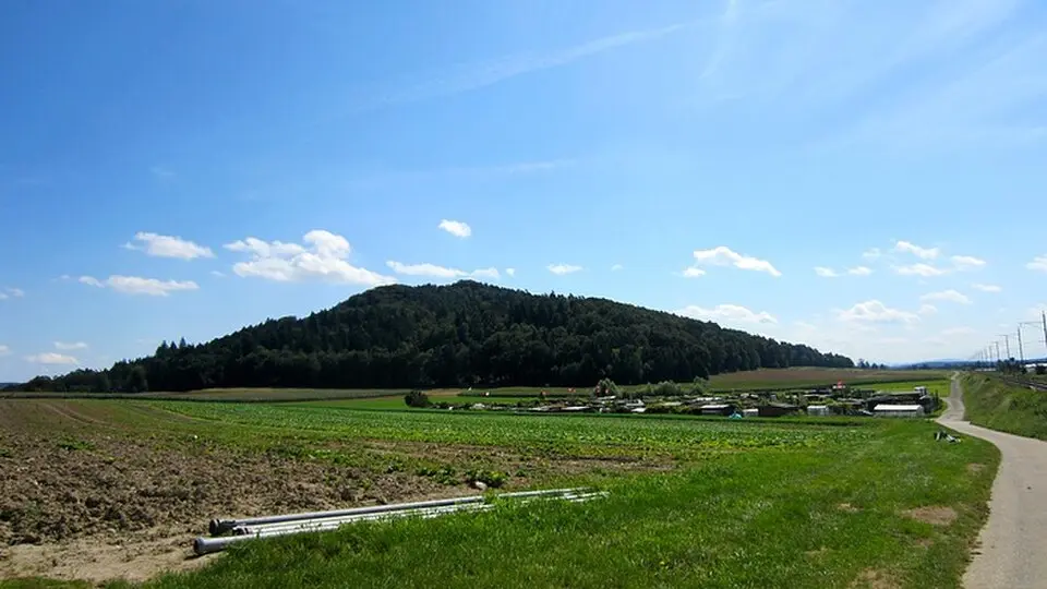 Rodenberg