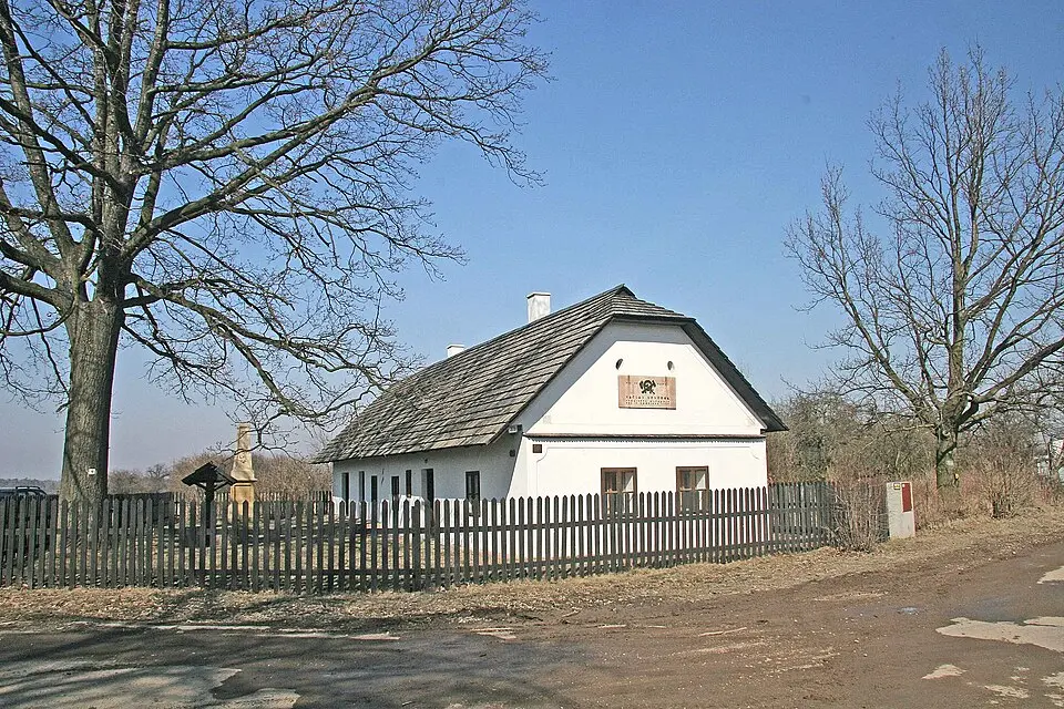Bild: Zp at Czech Wikipedia · CC BY-SA 3.0 Rybitví
