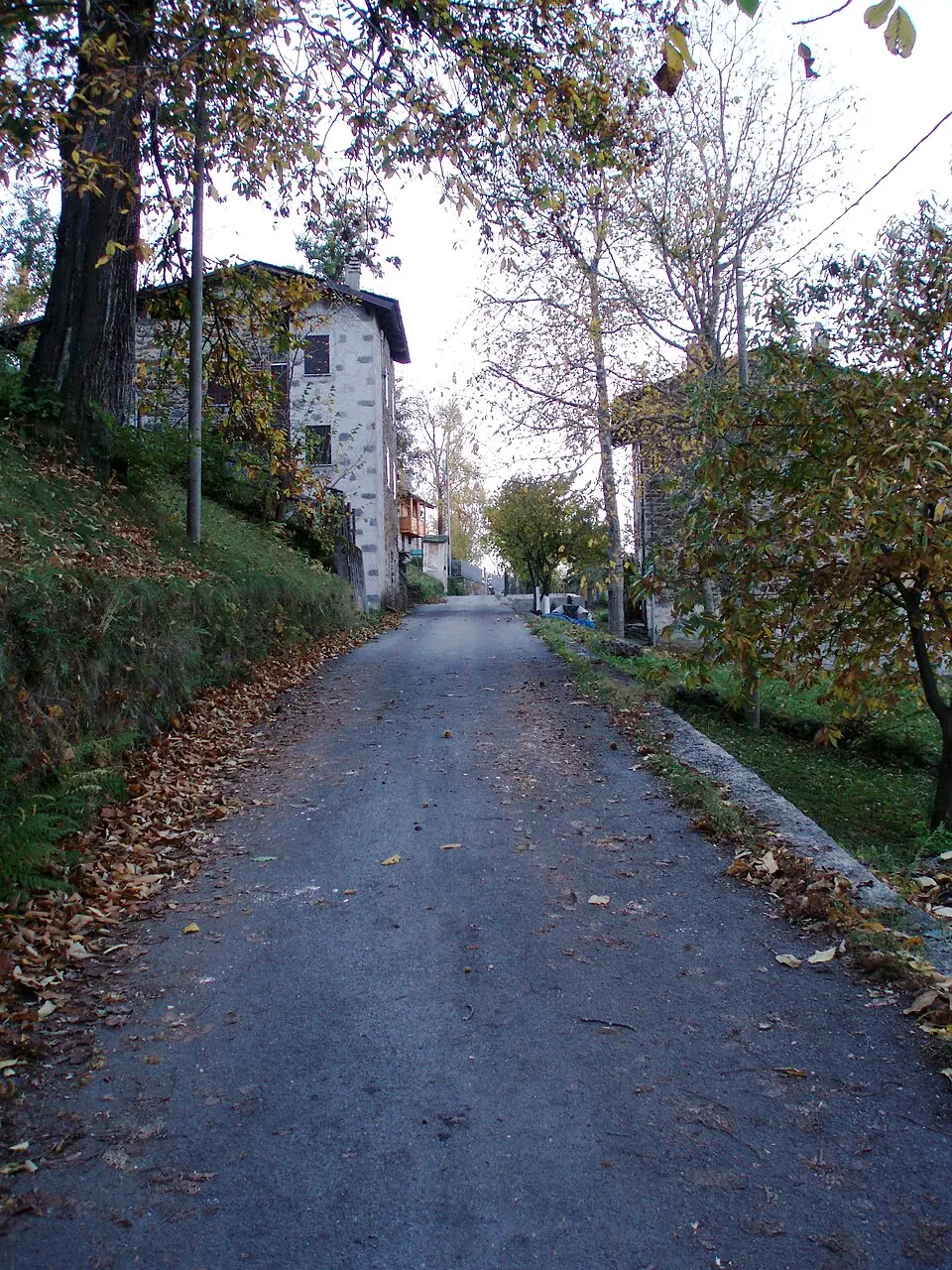 Rodolo