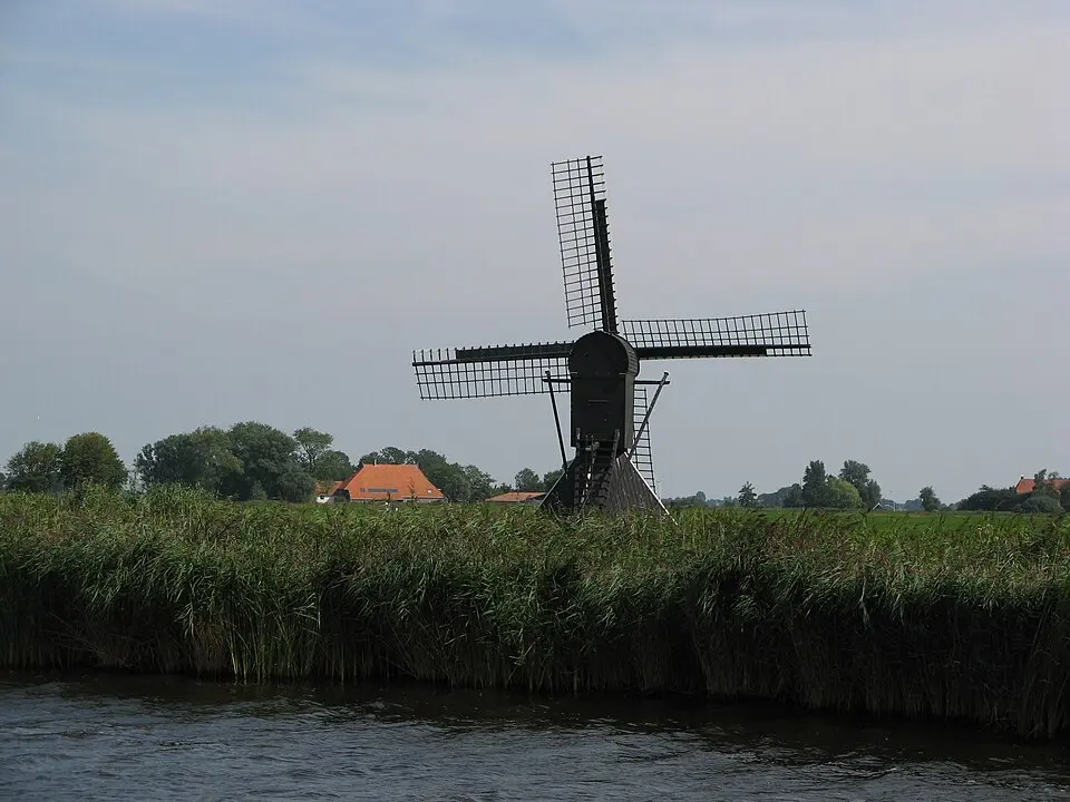 Roekmole