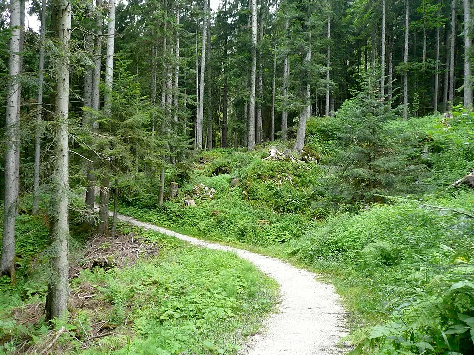 Römerzeitliche Wegtrasse und Siedlung Michlhallberg