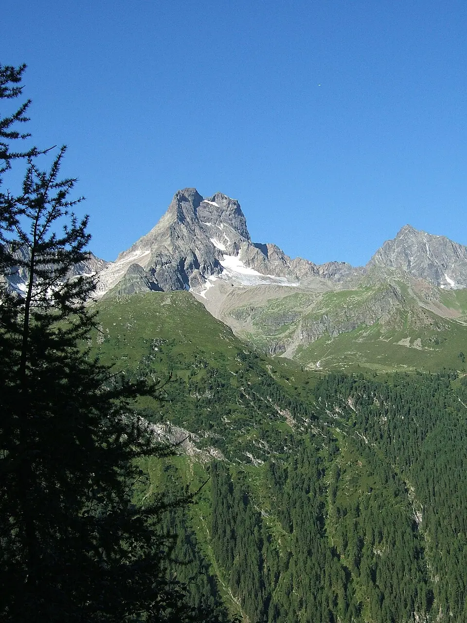 Gsallkopf