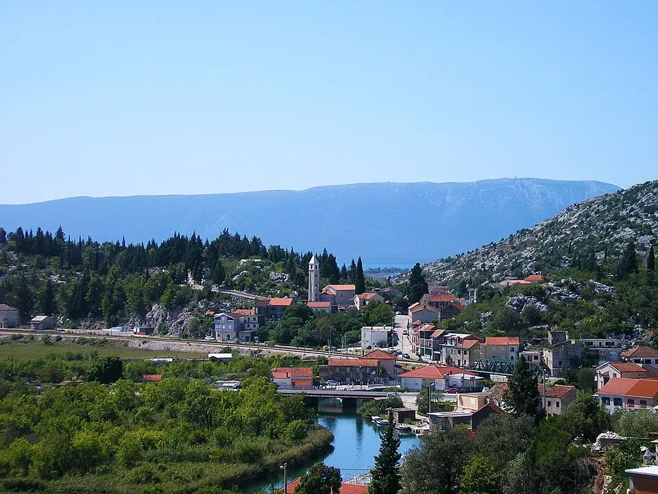 Rogotin