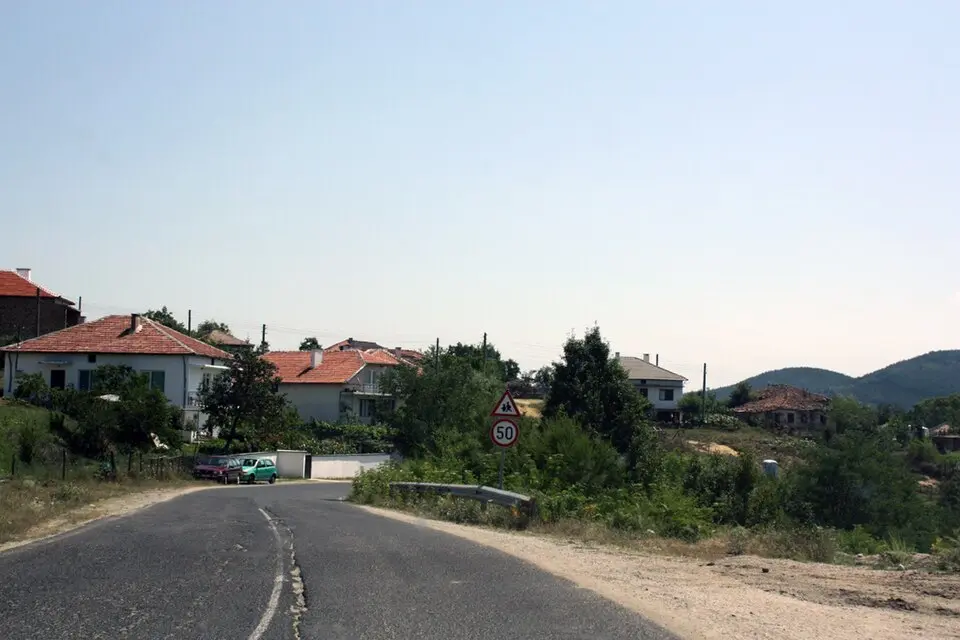 Рогозче