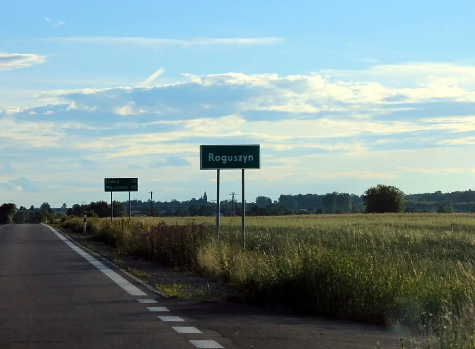Roguszyn