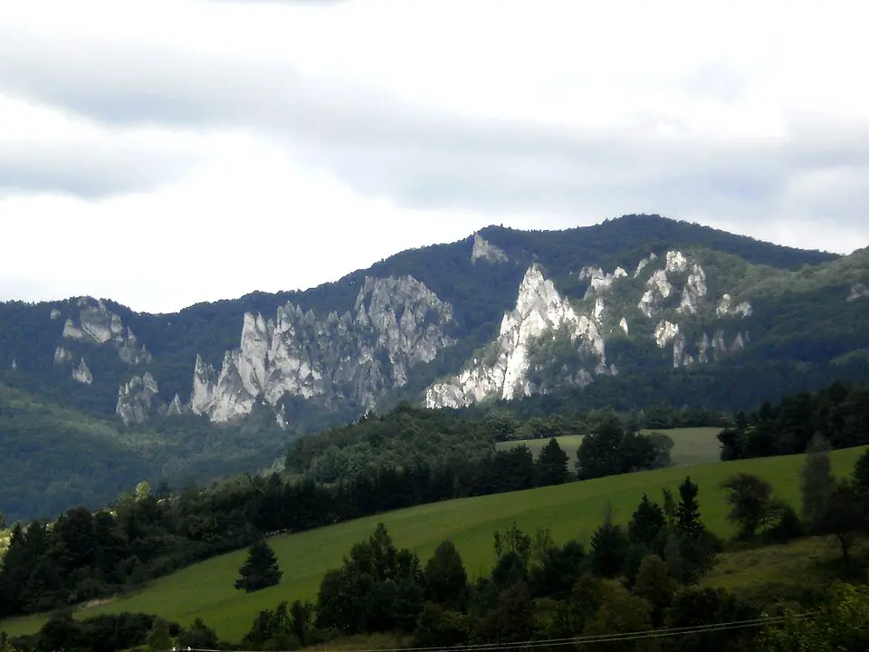 Roháč
