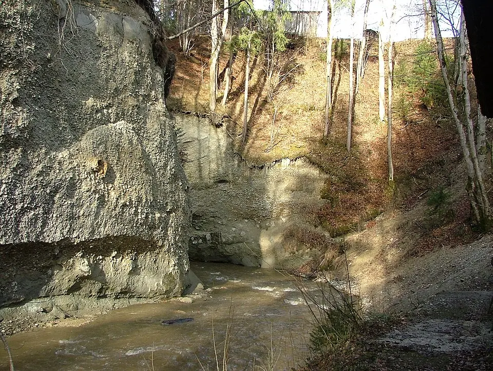 Rohrach
