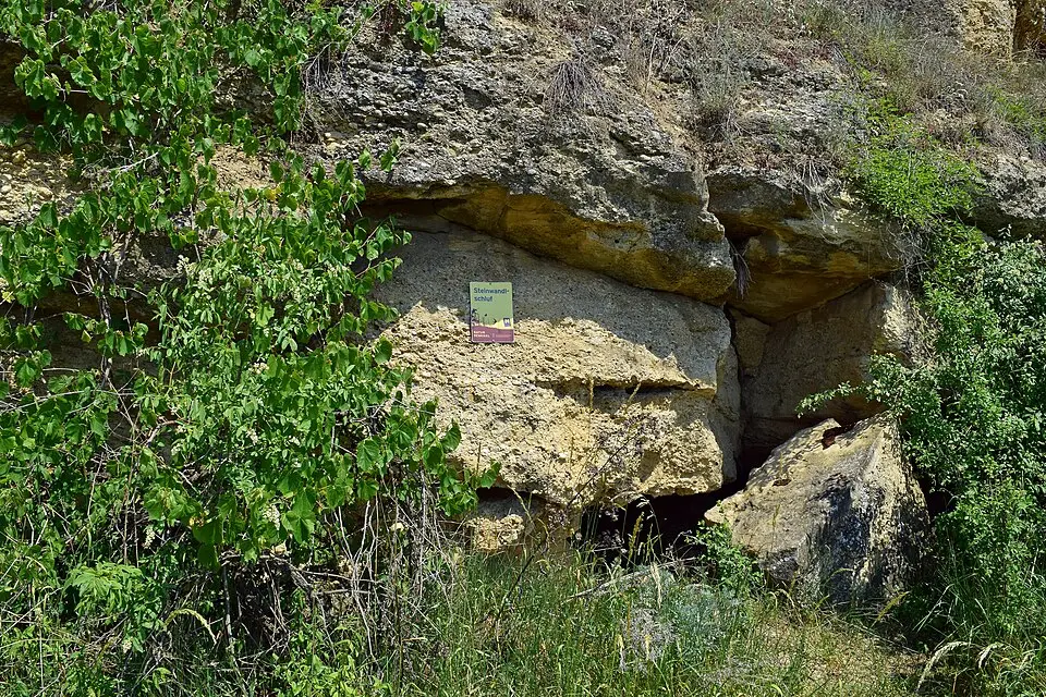 Steinwandlschluf