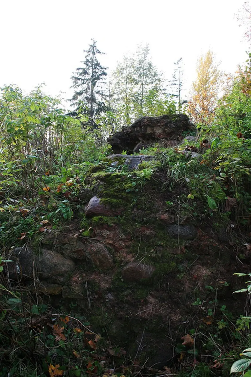Rokantiškių pilis