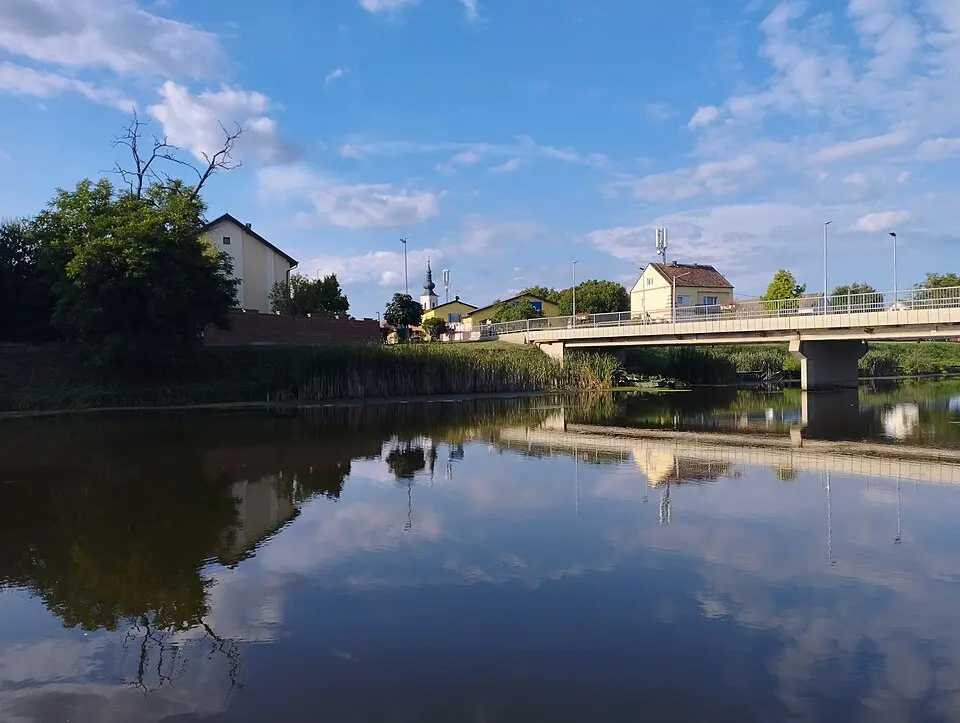 Rokovci