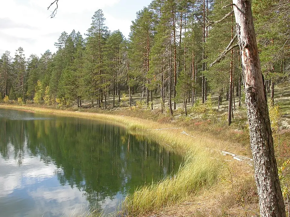 Nationalpark Rokua