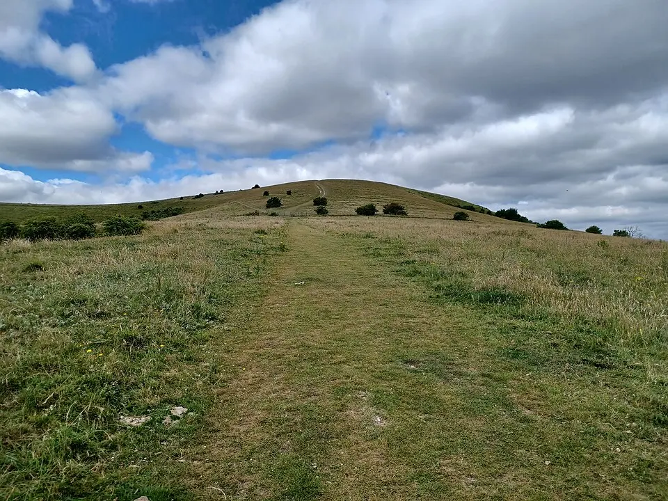 Romano-British farmstead, field system and trackway on Wolstonbury Hill