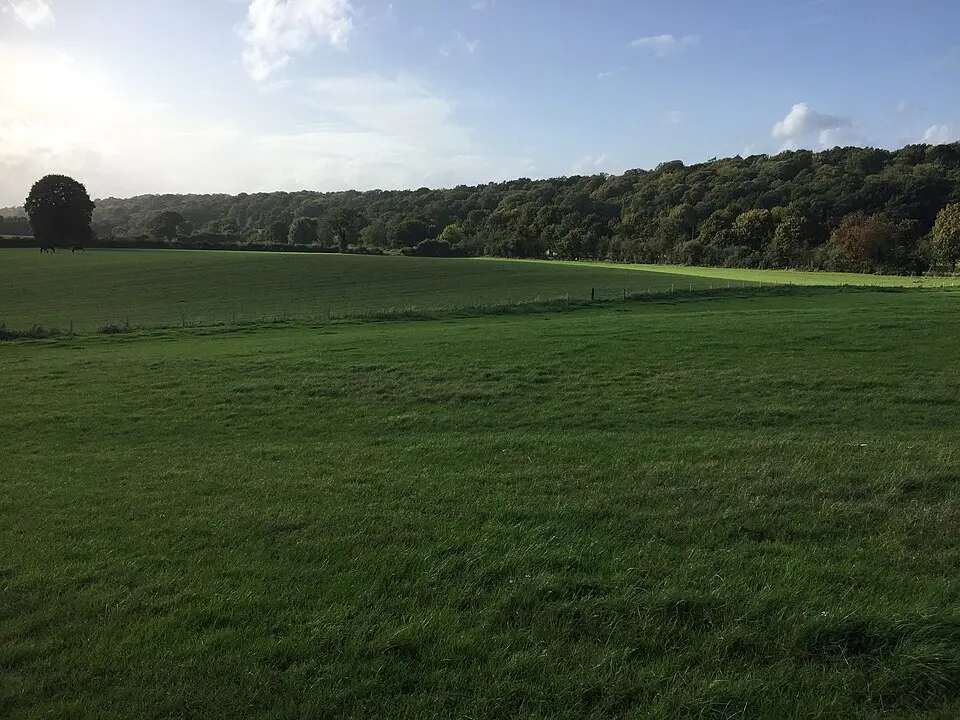 Romano-British site, Wickham Court Farm