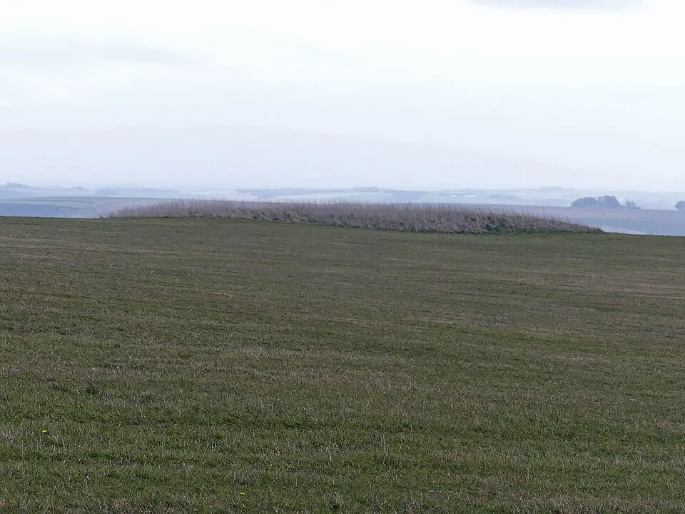 Romano-Celtic temple and late prehistoric midden immediately south of Woodcombe Wood, 1.1km north east of Dairy Farm