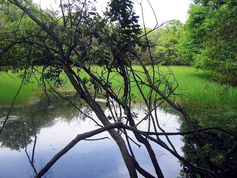 Regional Park of Decima-Malafede