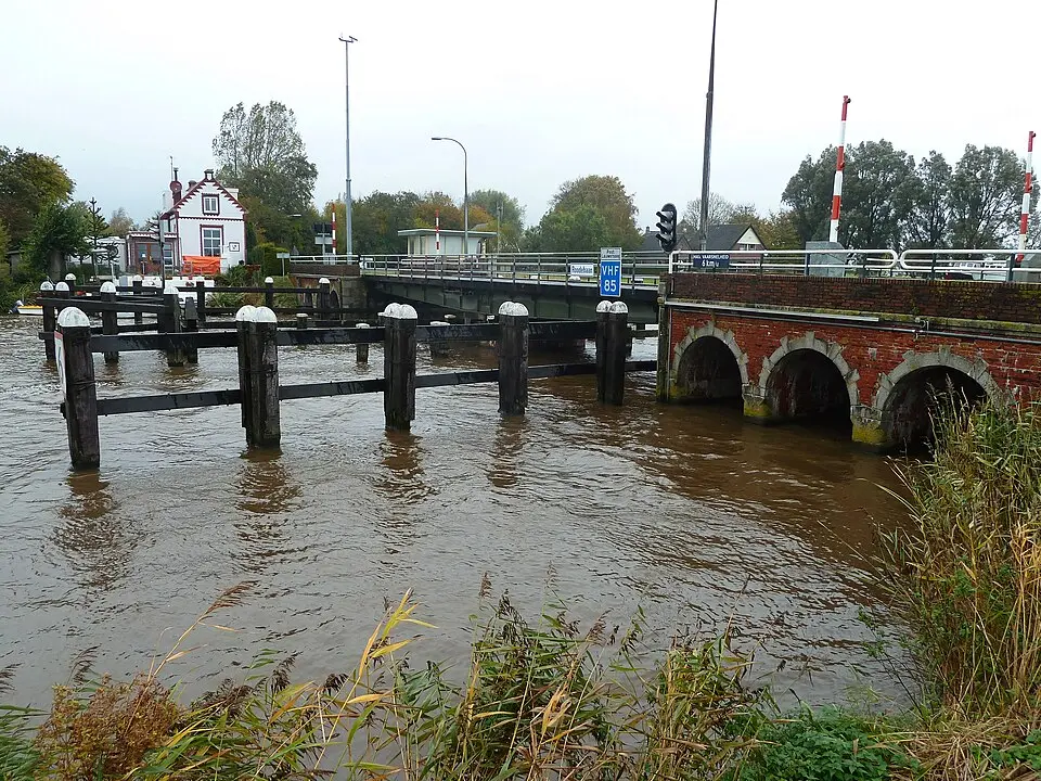 Roodehaan