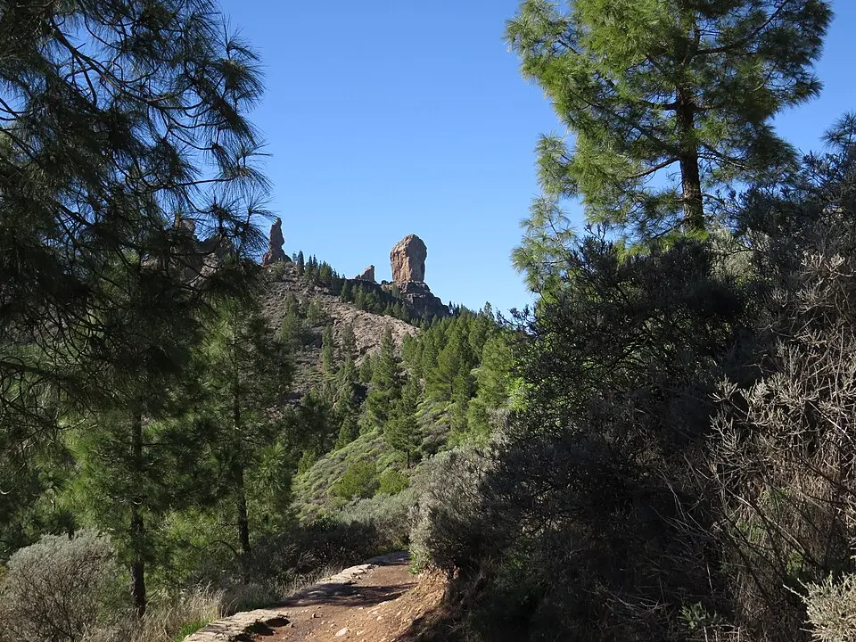 Roque Nublo