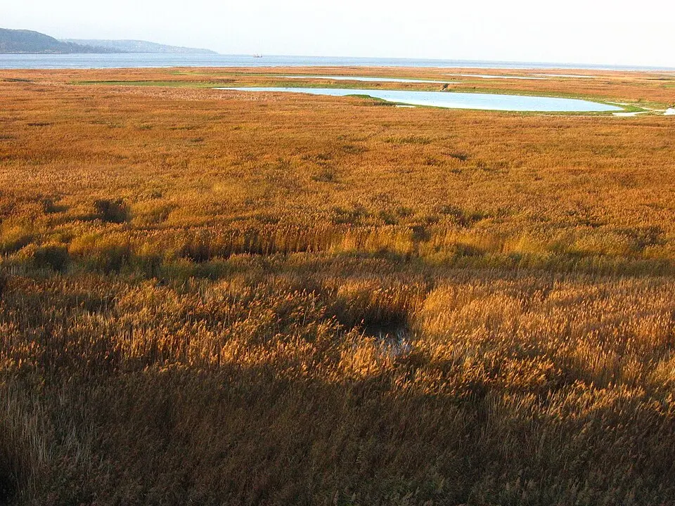 parc naturel régional des Boucles de la Seine normande