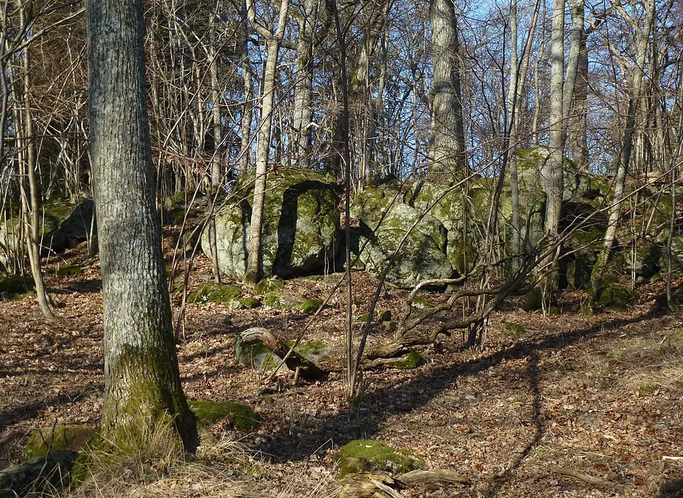 Rosenlundsskogen