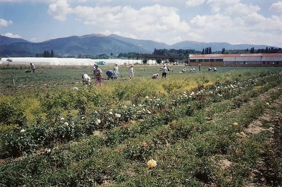 Kazanlak Valley