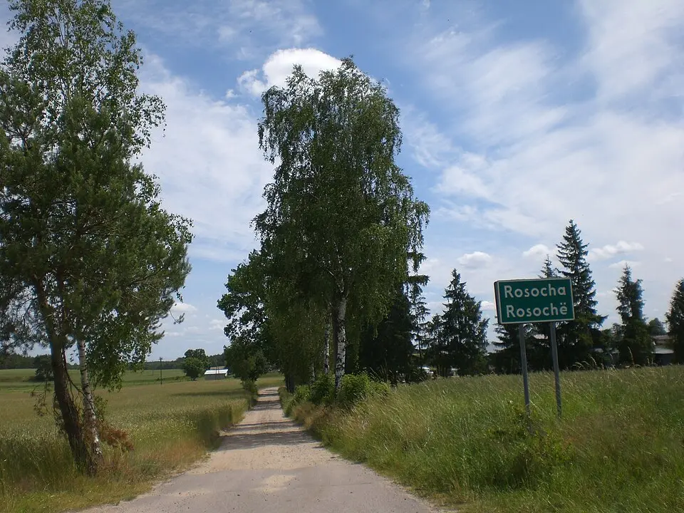 Rosocha