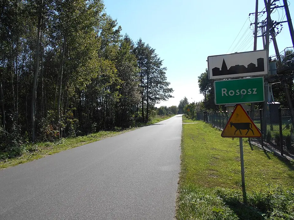 Rososz