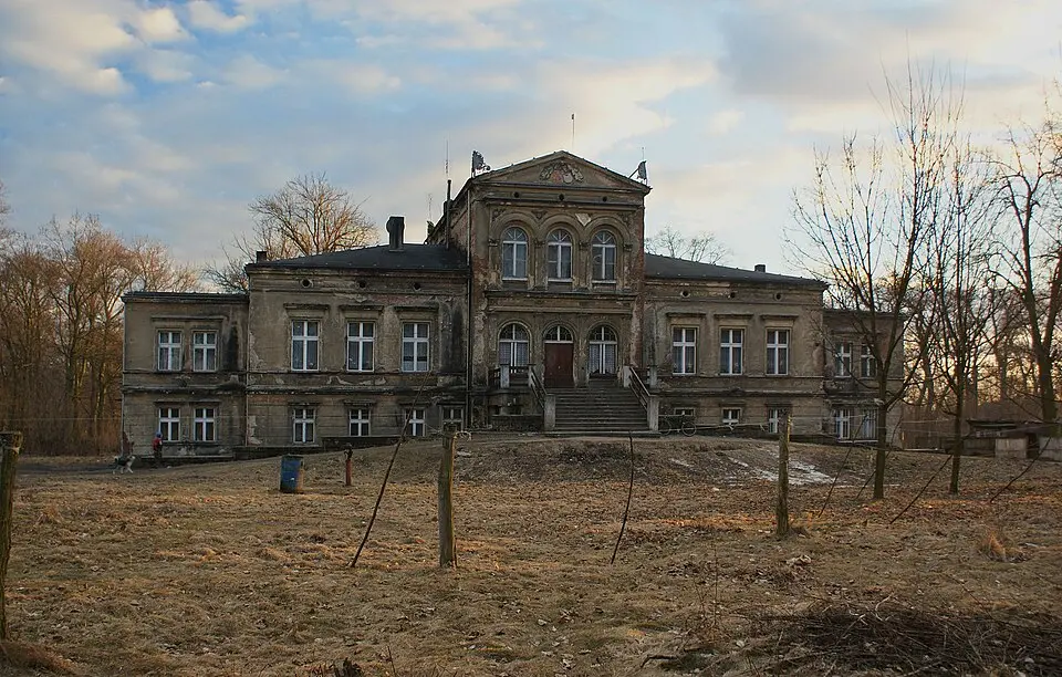 Pałac, Parkowa 5 w Rososzycy