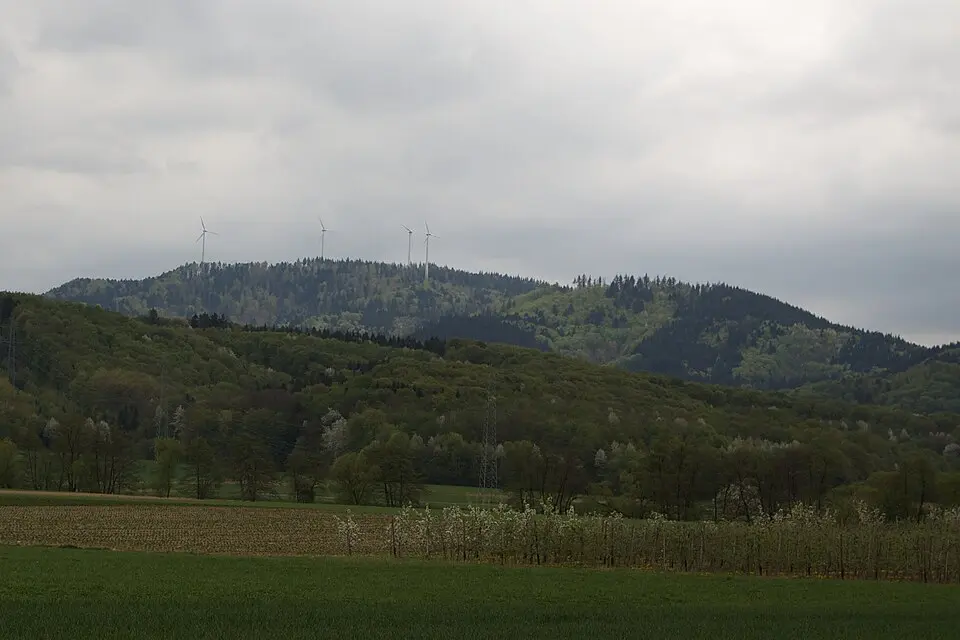 Rosskopf