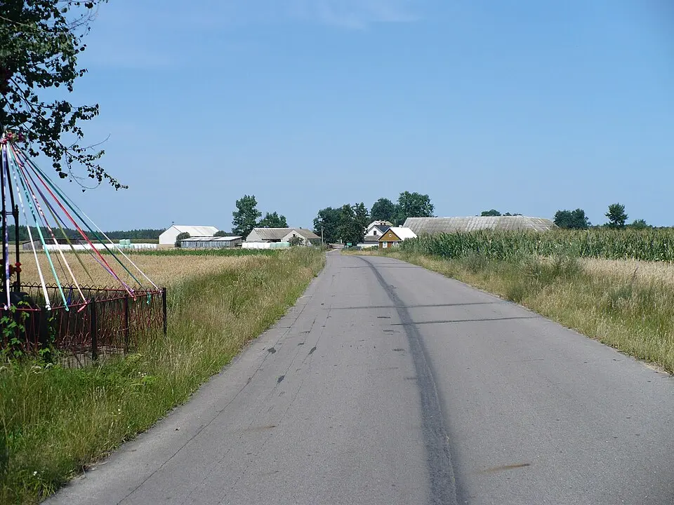 Rostki