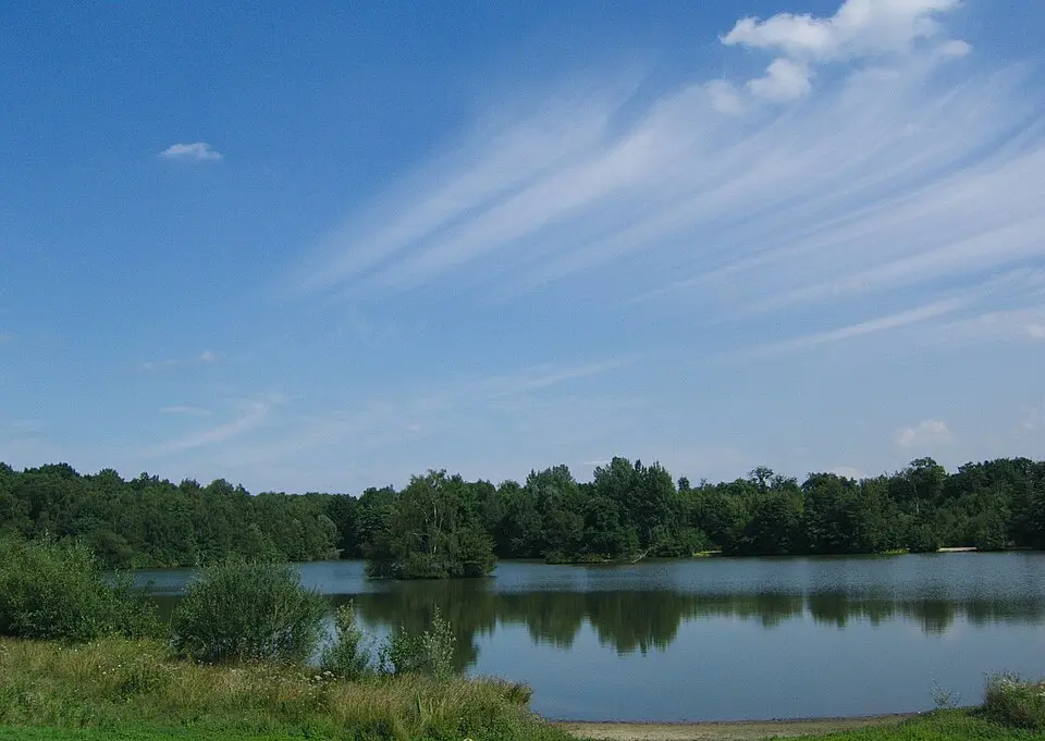Rotbach