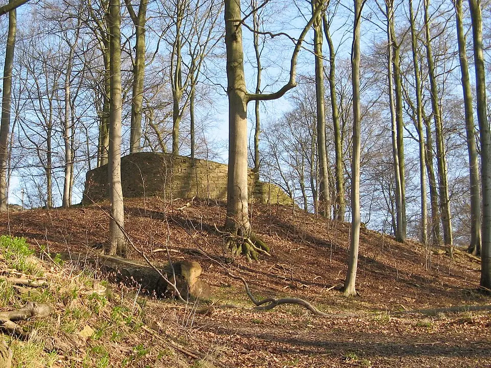 Bild: Oliver Abels (SBT) · CC BY 2.5 Alter Turm (Stölzinger Gebirge)