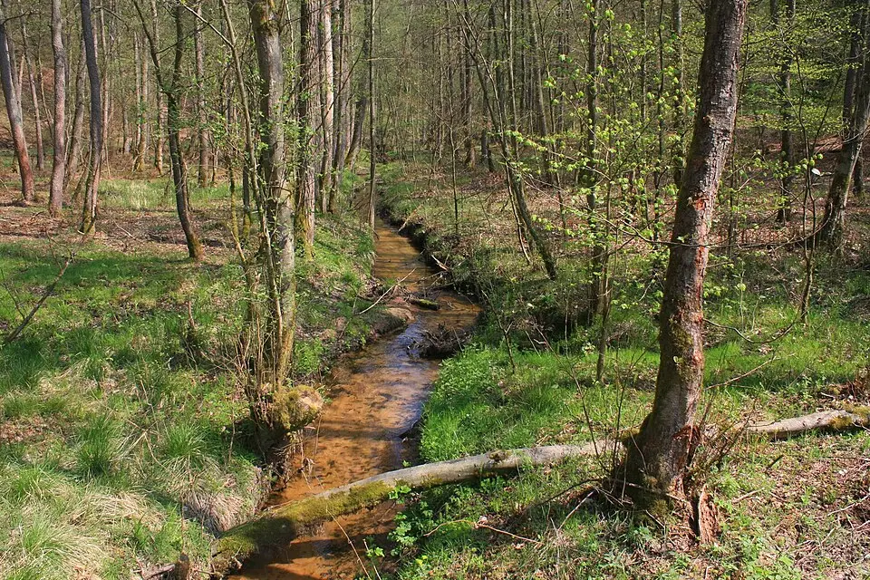 Rotes Wasser