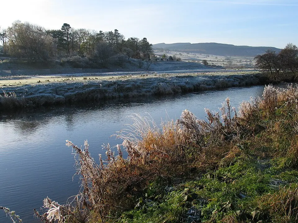Coquet