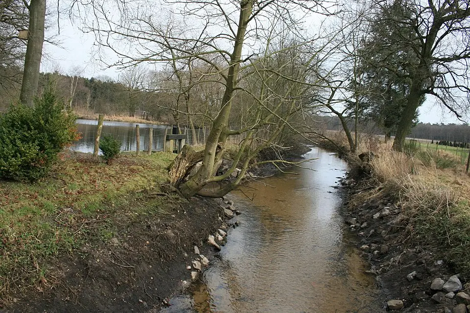 Image: Käthe u. Bernd Limburg, www.limburg-bernd.de · CC BY-SA 3.0 DE Rothenbach