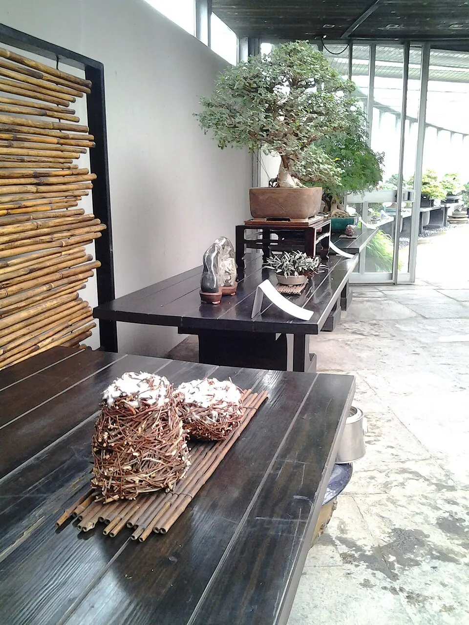 Image: Raul2 · CC BY-SA 4.0 Museo del bonsai "Crespi"