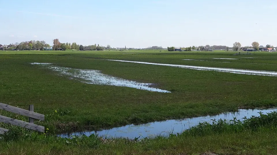 Polder Schieveen