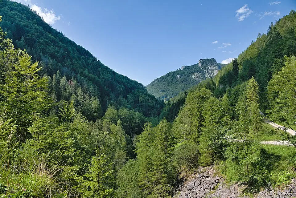 Kalkalpen - Bodinggraben