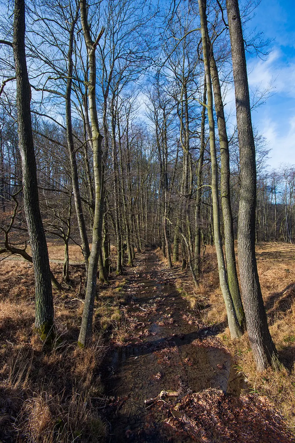 Rotwassergraben