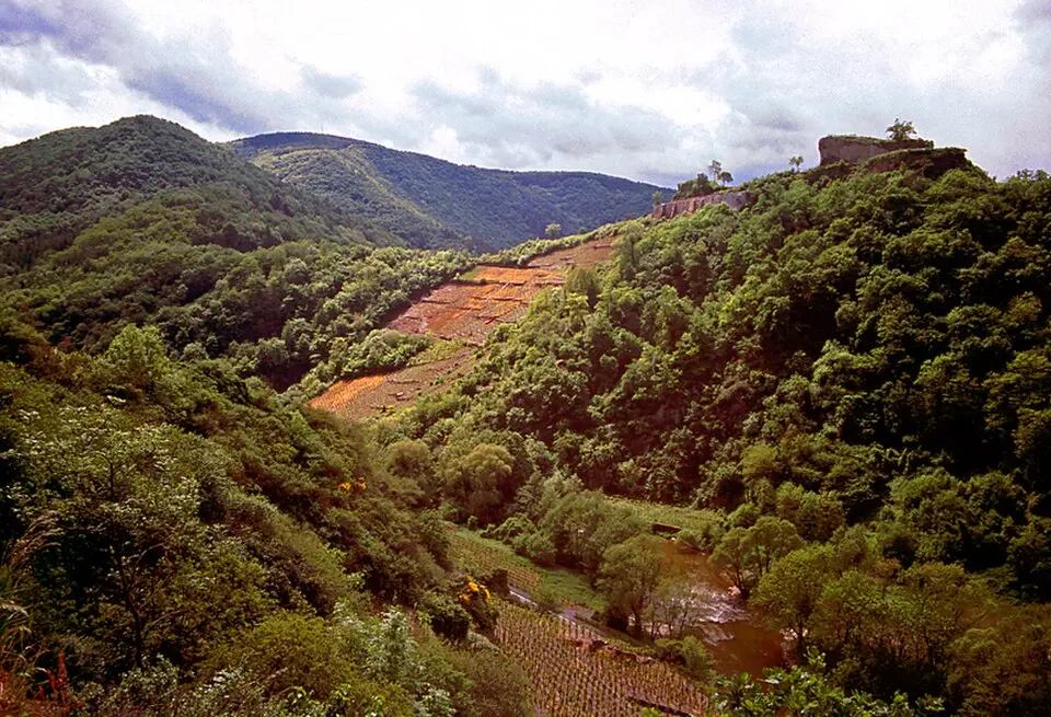 Rotweinwanderweg