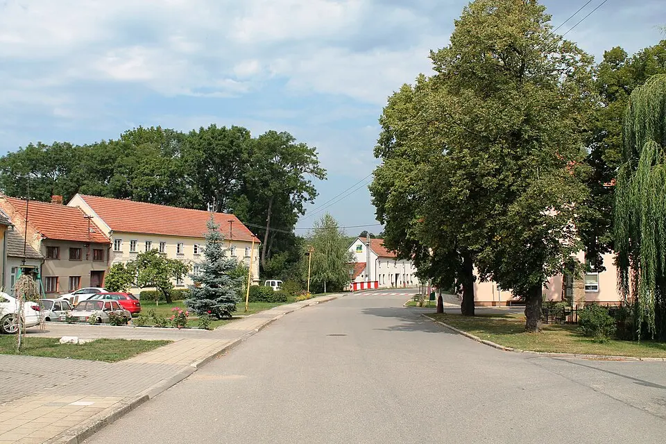 Slavíkovice (Rousínov)