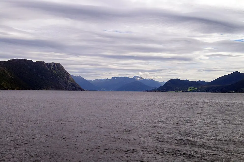 Rovdefjord