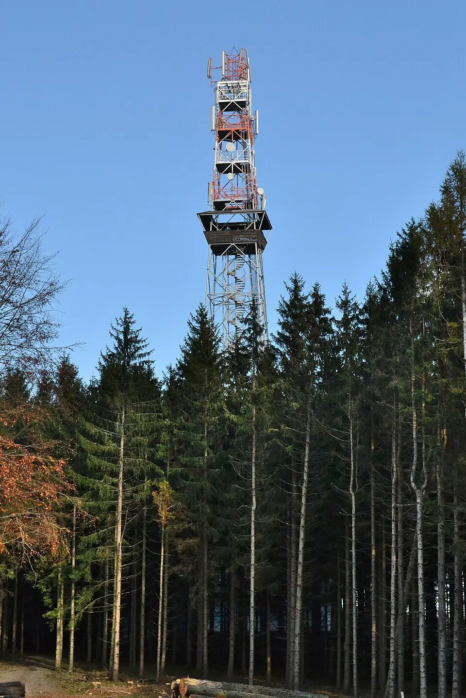 Horní les